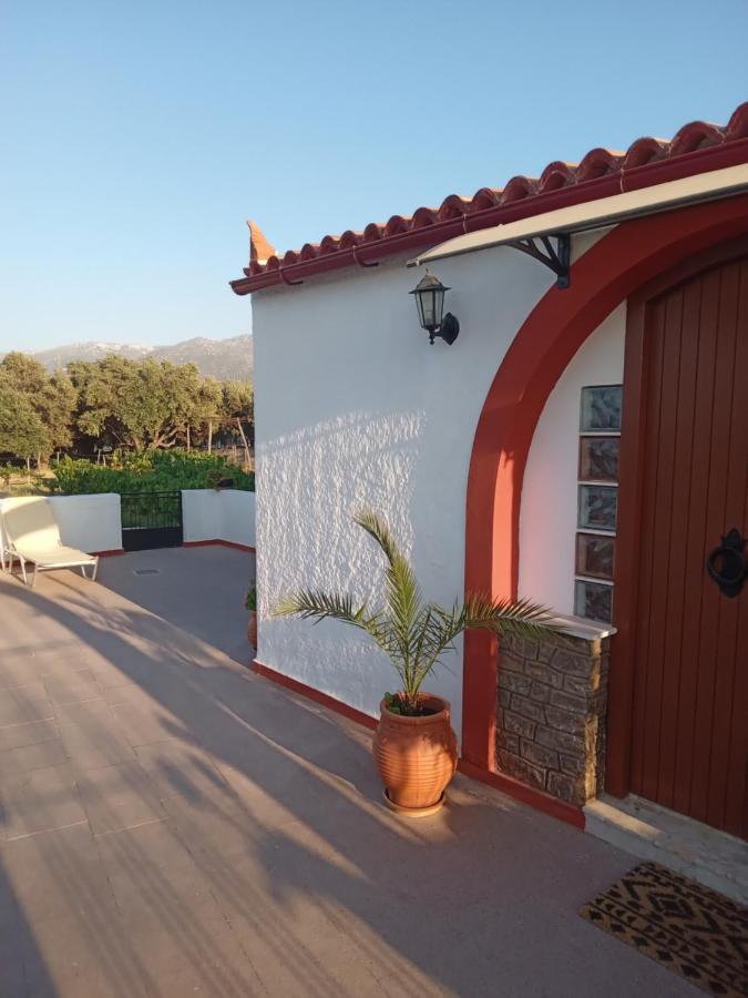 Villa Ampelia Sitia  Exteriér fotografie