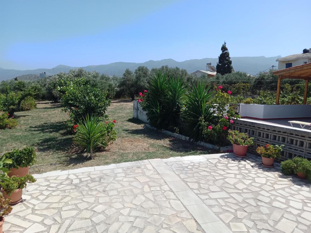 Villa Ampelia Sitia  Exteriér fotografie